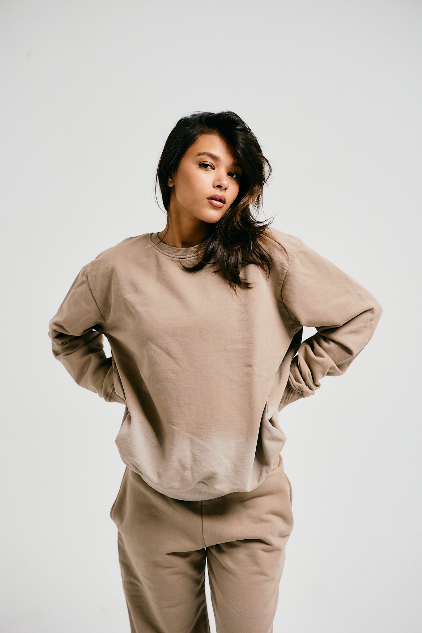 Fade Crew Neck Sweatshirt - Sand